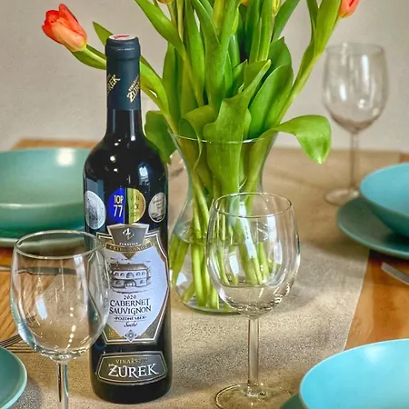 民宿 Apartmany Krivoklat *